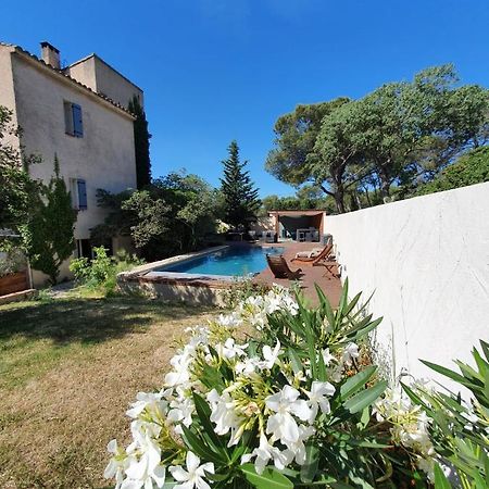 Apartament La Cigale Et La Fourmi Nîmes Zewnętrze zdjęcie