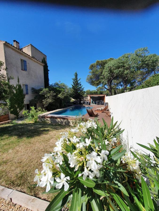Apartament La Cigale Et La Fourmi Nîmes Zewnętrze zdjęcie