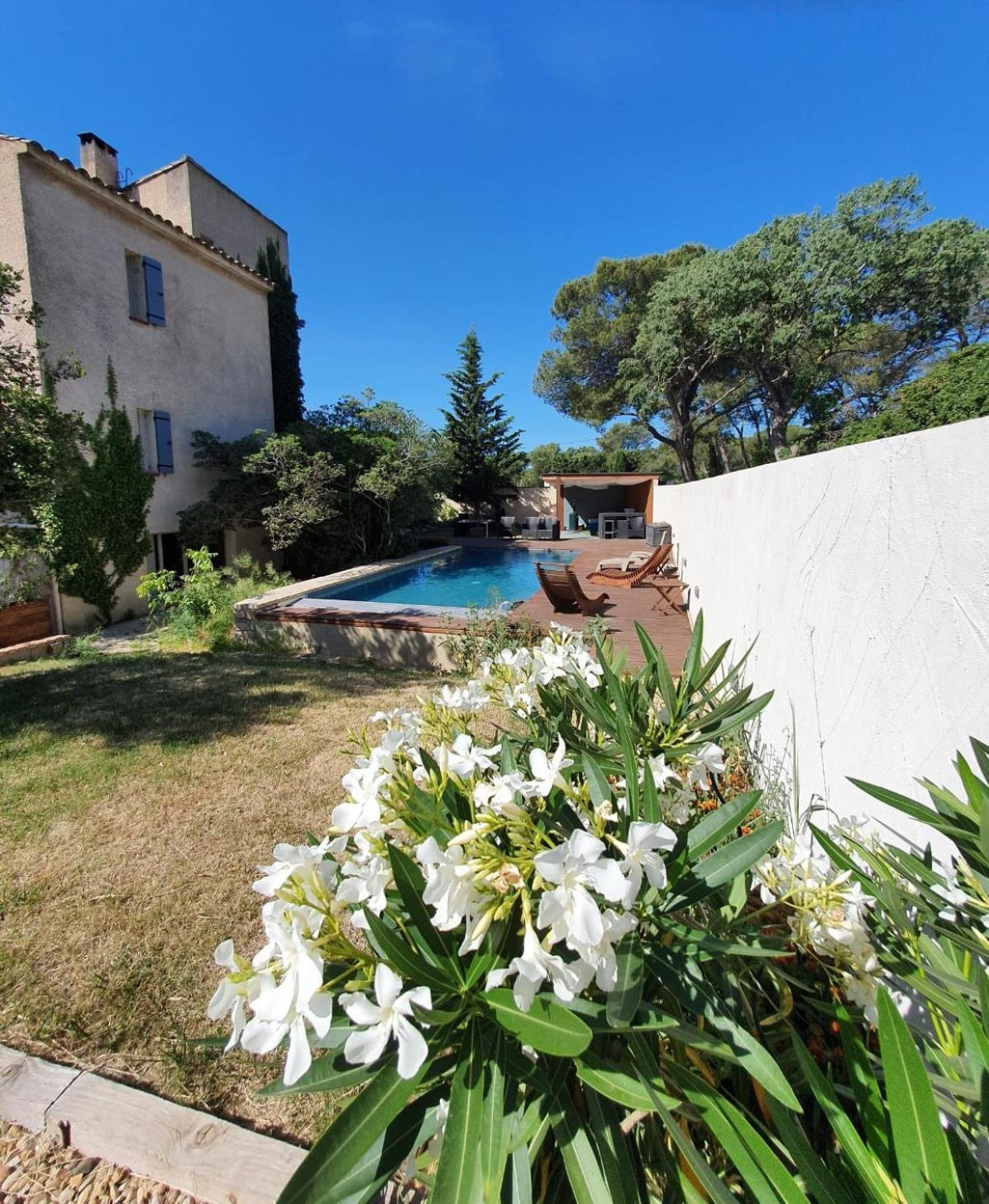 Apartament La Cigale Et La Fourmi Nîmes Zewnętrze zdjęcie